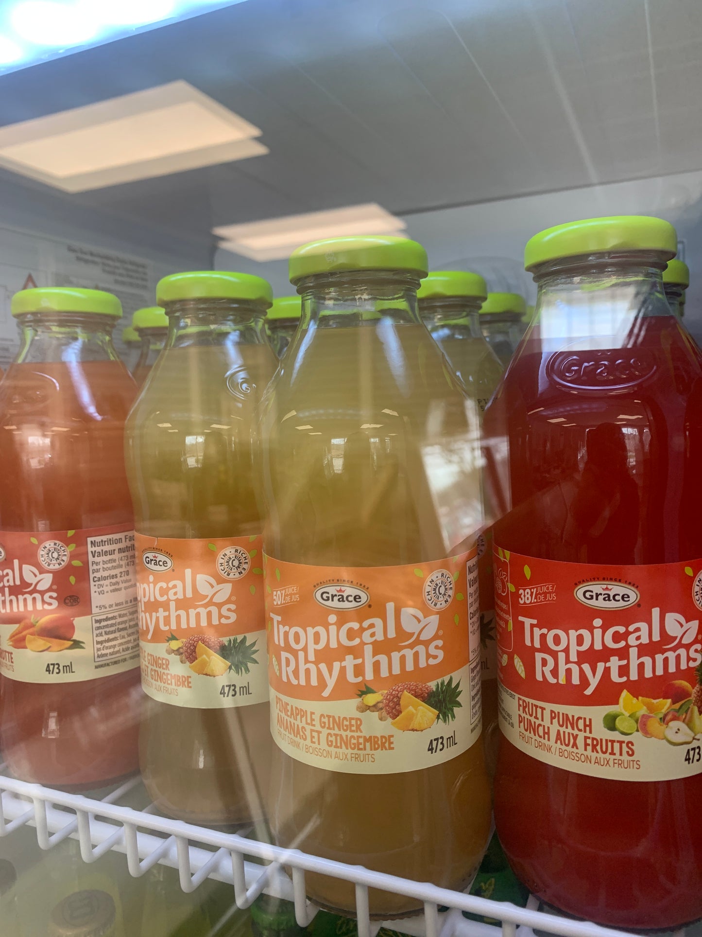 Tropical Rhythm